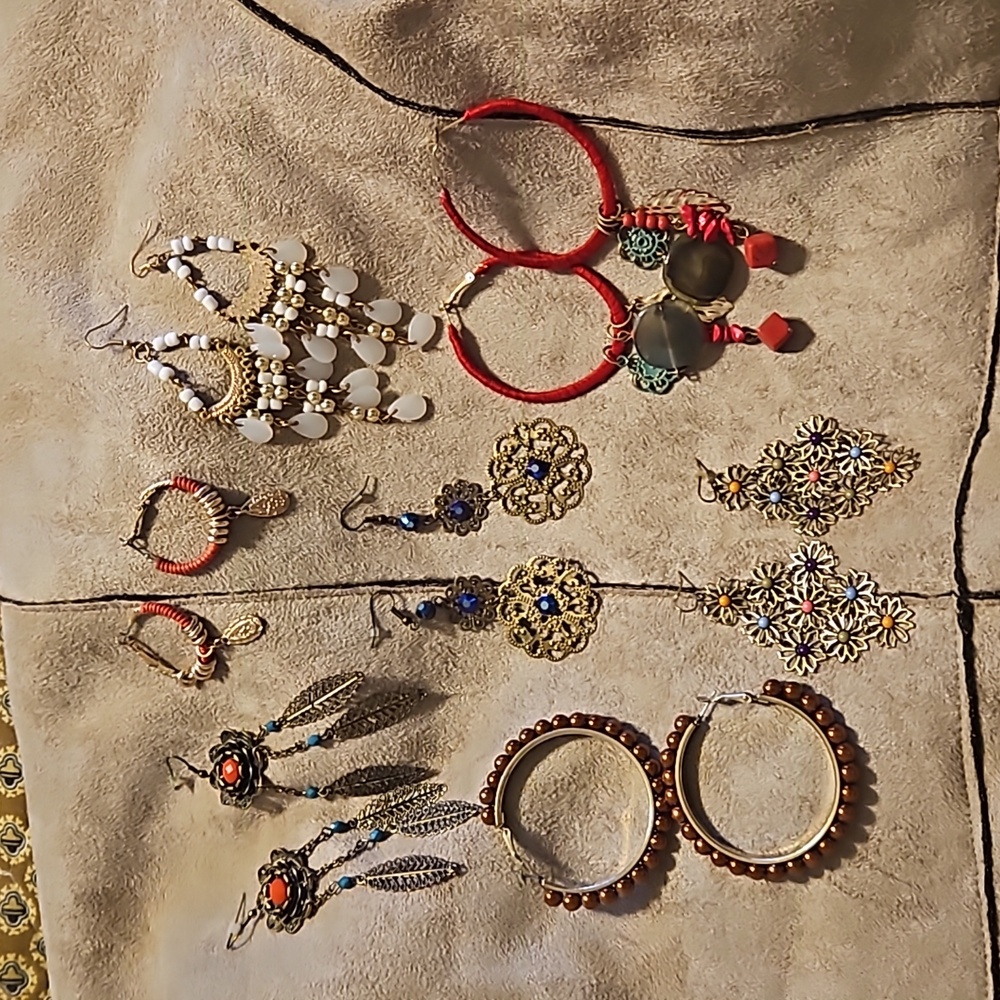 Earrings